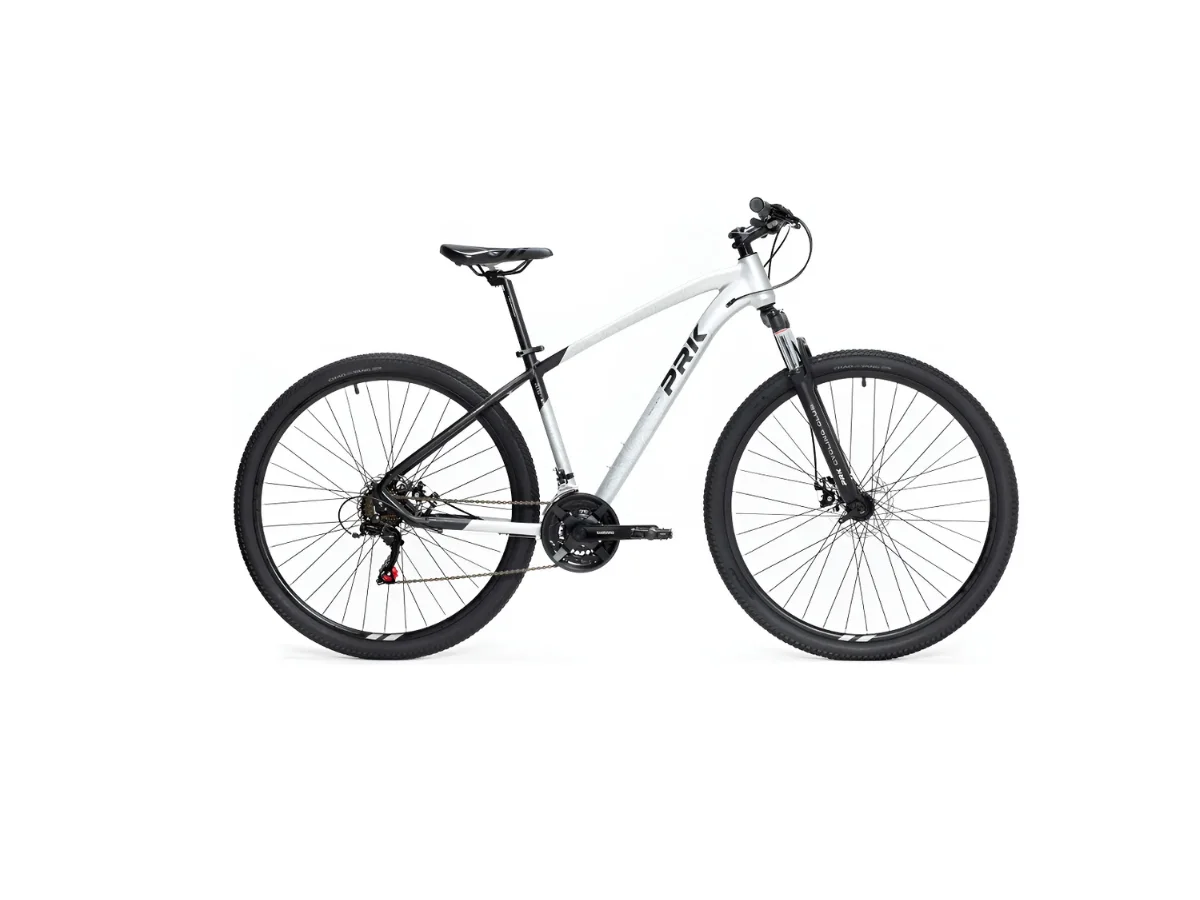 BICICLETA PEGASUS PRK R29
