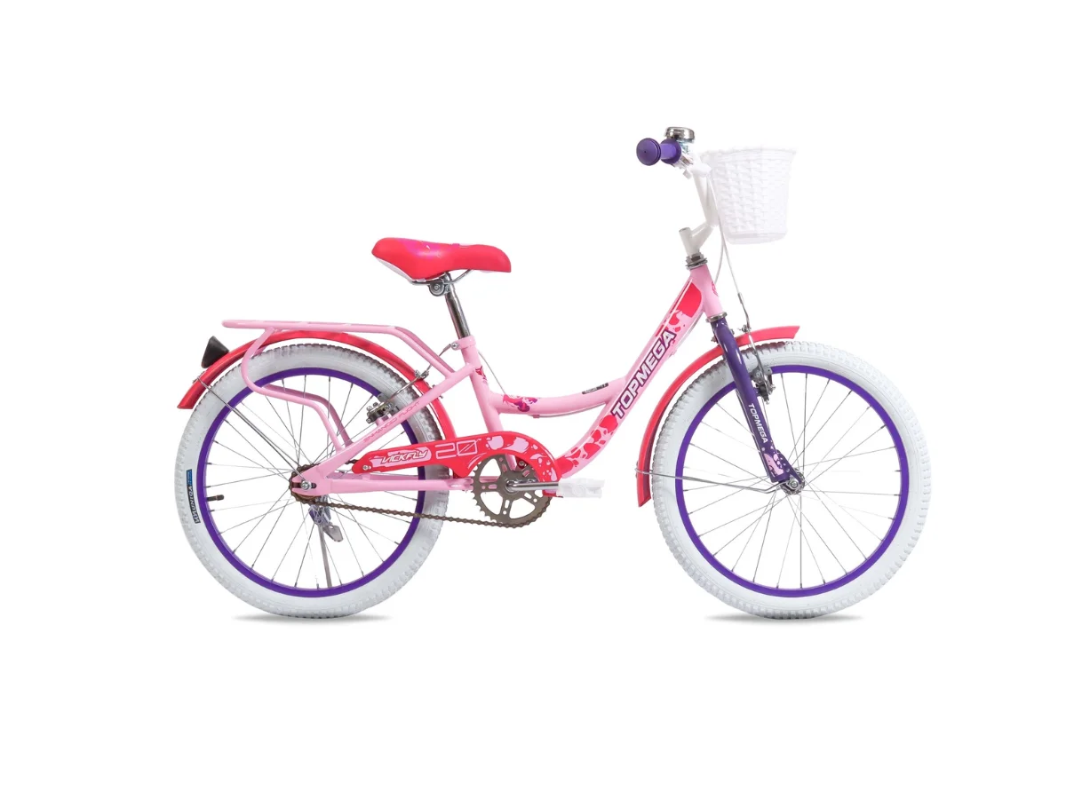 BICICLETA VICKFLY R20 2026