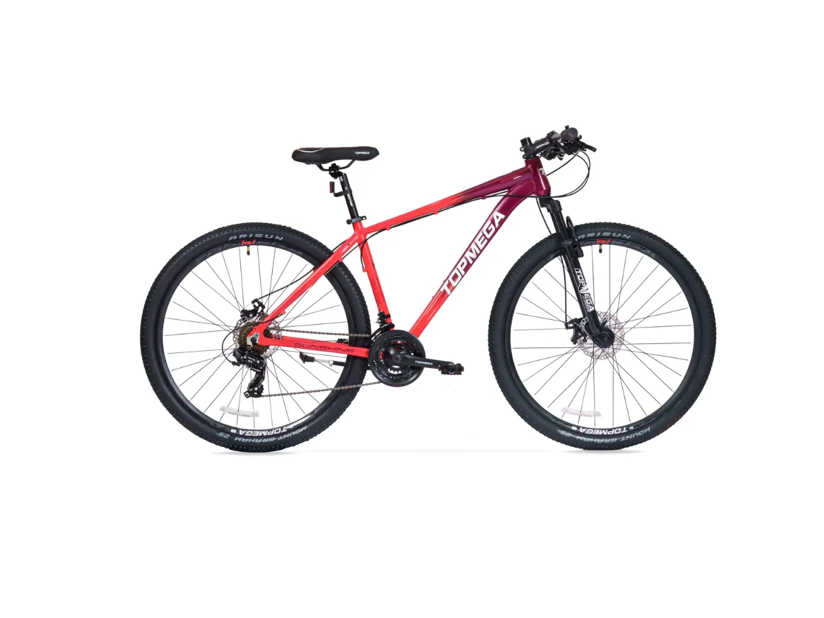 BICICLETA TOPMEGA SUNSHINE CORAL R29