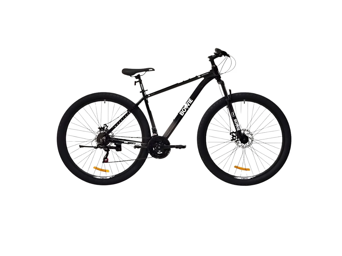 BICICLETA BOWIE NEGRA/GRIS R29