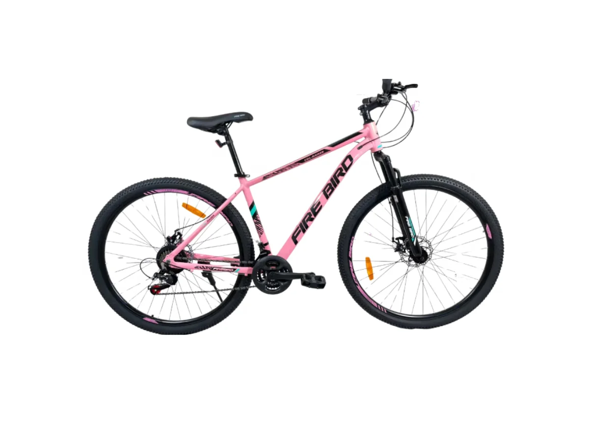 BICICLETA FIREBIRD ROSA R29